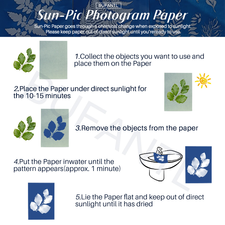 Cyanotype Paper 12 Sheets Refi - Photography Lighting Beginners review and price