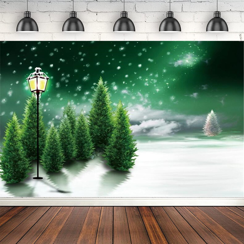 Photography Backdrop Winter Sn - Photography Lighting White Background review and price